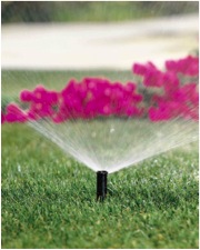 landscape-sprinklers